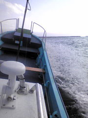 20100624155825.jpg