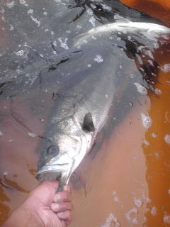 F1150007.jpg