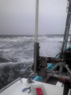 F1150009.jpg