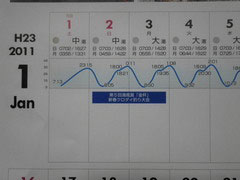 IMGP14421.jpg