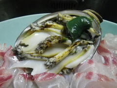 IMGP0538.jpg