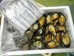 IMGP0557.jpg