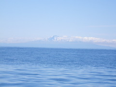 IMGP3940.jpg