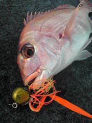 20091012164157.jpg