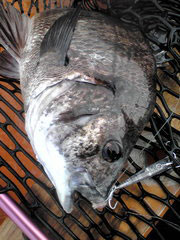 20091013114537.jpg