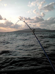 20091013162356.jpg
