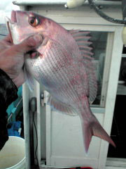 20091013165558.jpg