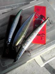 20091014082006.jpg