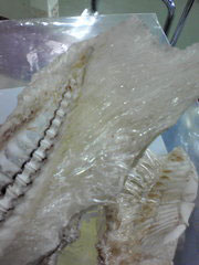 20100321122527.jpg