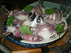 IMGP1296.jpg
