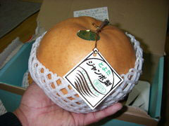IMGP2929.jpg