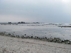 IMGP4178.jpg