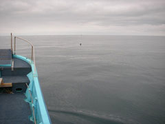 IMGP5684.jpg