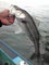 20100504160248.jpg