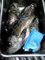 20100505071613.jpg