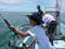 IMGP0091_.jpg