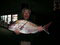 IMGP0457.jpg