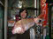 IMGP2080.jpg