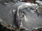 IMGP3757.jpg