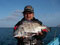 IMGP4979.jpg