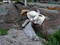 IMGP5337.jpg