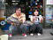 IMGP5680.jpg
